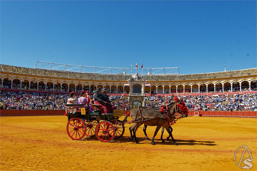 fjmontiel_38_Exhibicion_Enganches_Maestranza_Sevilla_2024_DSC_4891_DxO