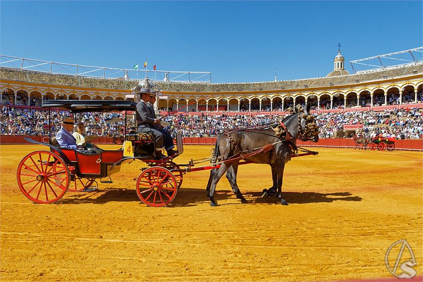 fjmontiel_38_Exhibicion_Enganches_Maestranza_Sevilla_2024_DSC_4893_DxO