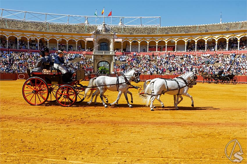 fjmontiel_38_Exhibicion_Enganches_Maestranza_Sevilla_2024_DSC_4896_DxO