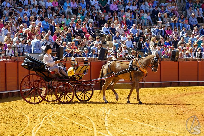 fjmontiel_38_Exhibicion_Enganches_Maestranza_Sevilla_2024_DSC_4899_DxO