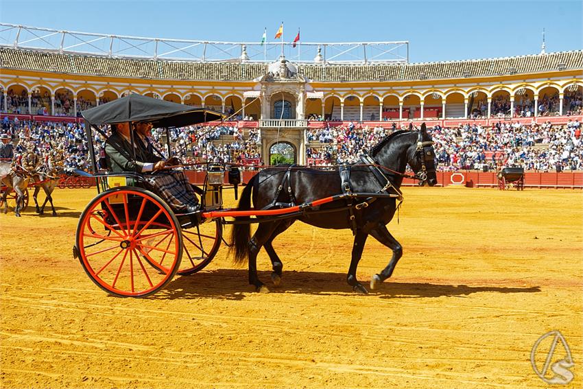 fjmontiel_38_Exhibicion_Enganches_Maestranza_Sevilla_2024_DSC_4900_DxO