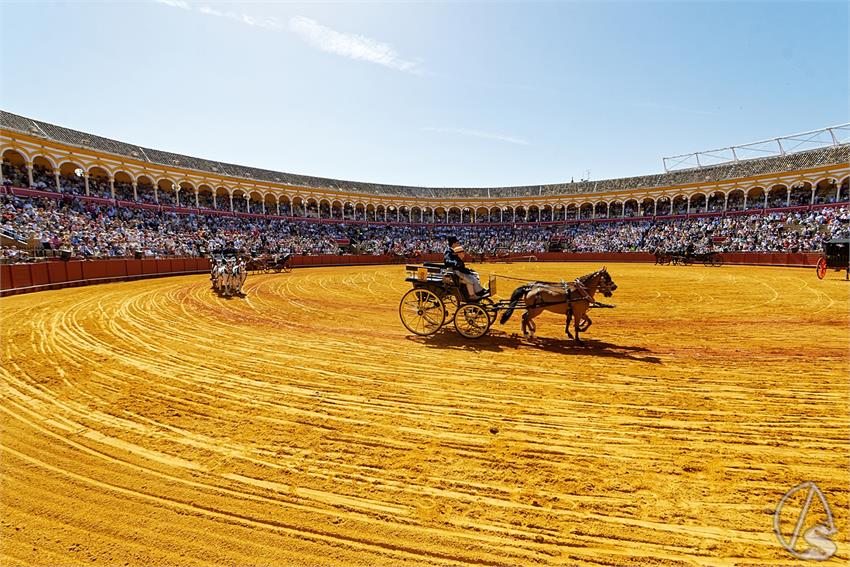 fjmontiel_38_Exhibicion_Enganches_Maestranza_Sevilla_2024_DSC_4906_DxO