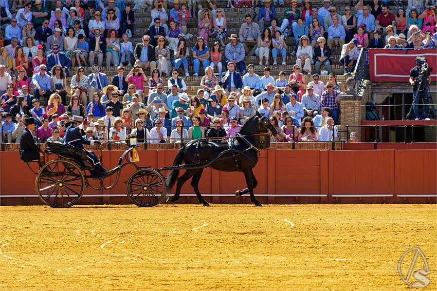 fjmontiel_38_Exhibicion_Enganches_Maestranza_Sevilla_2024_DSC_4909_DxO