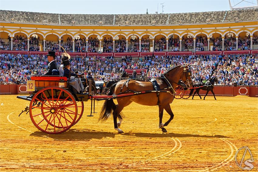 fjmontiel_38_Exhibicion_Enganches_Maestranza_Sevilla_2024_DSC_4912_DxO