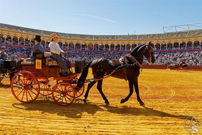 fjmontiel_38_Exhibicion_Enganches_Maestranza_Sevilla_2024_DSC_4916_DxO