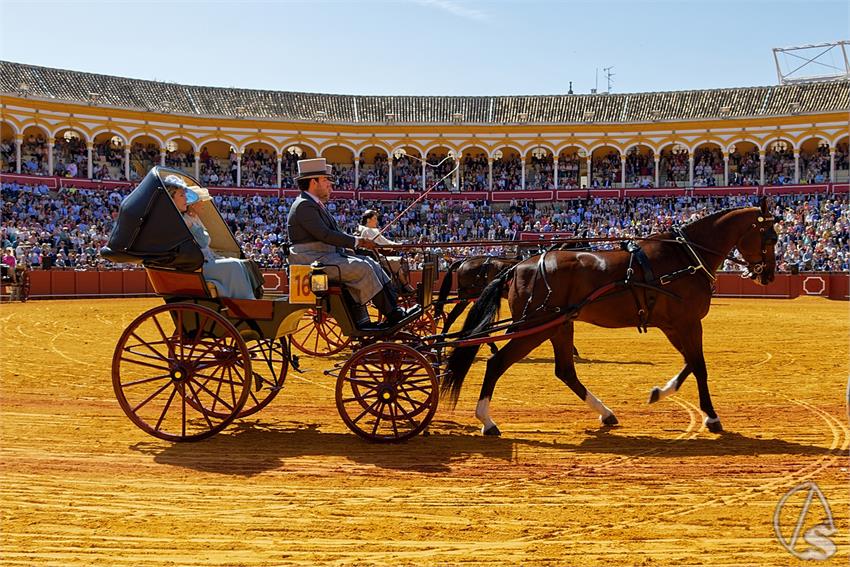 fjmontiel_38_Exhibicion_Enganches_Maestranza_Sevilla_2024_DSC_4917_DxO