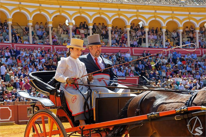 fjmontiel_38_Exhibicion_Enganches_Maestranza_Sevilla_2024_DSC_4925_DxO