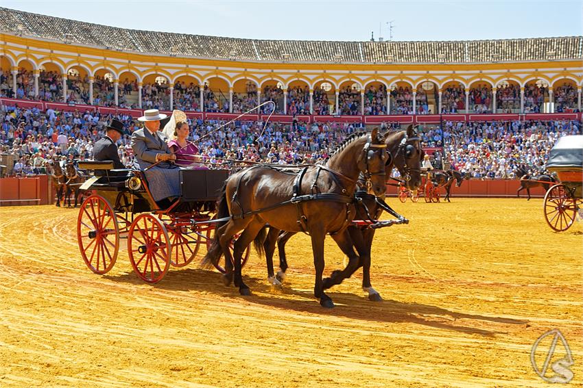 fjmontiel_38_Exhibicion_Enganches_Maestranza_Sevilla_2024_DSC_4934_DxO