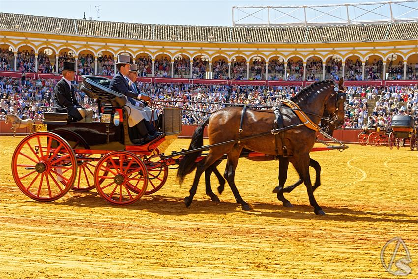 fjmontiel_38_Exhibicion_Enganches_Maestranza_Sevilla_2024_DSC_4937_DxO