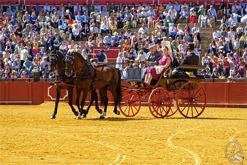 fjmontiel_38_Exhibicion_Enganches_Maestranza_Sevilla_2024_DSC_4938_DxO