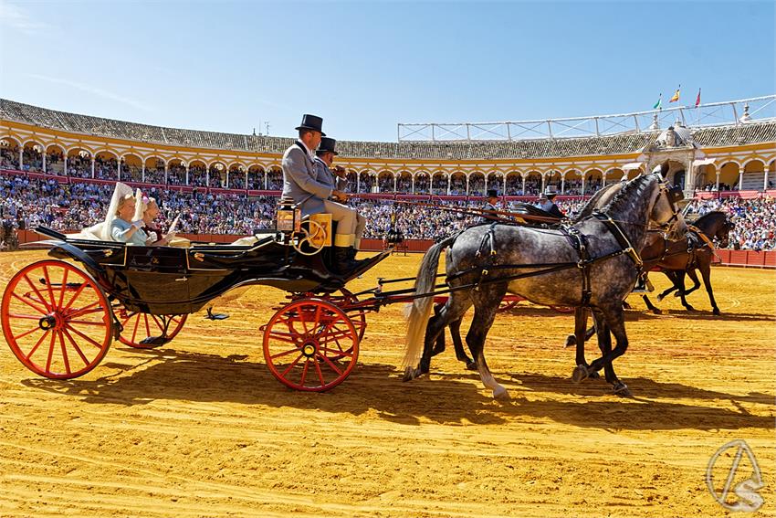 fjmontiel_38_Exhibicion_Enganches_Maestranza_Sevilla_2024_DSC_4940_DxO