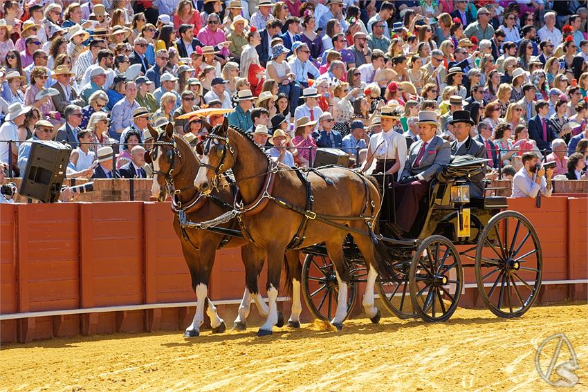 fjmontiel_38_Exhibicion_Enganches_Maestranza_Sevilla_2024_DSC_4941_DxO