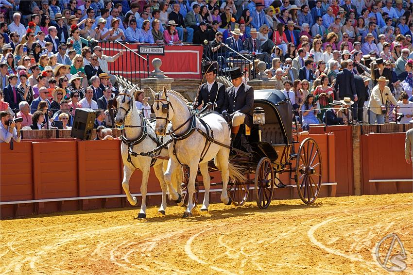 fjmontiel_38_Exhibicion_Enganches_Maestranza_Sevilla_2024_DSC_4942_DxO