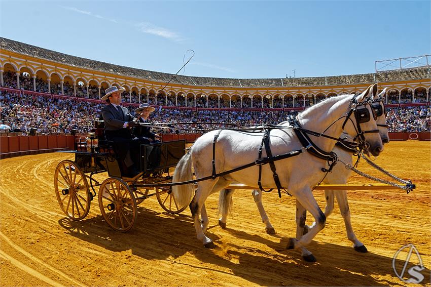 fjmontiel_38_Exhibicion_Enganches_Maestranza_Sevilla_2024_DSC_4944_DxO