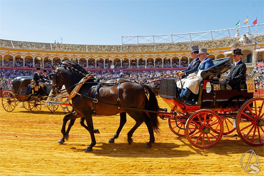 fjmontiel_38_Exhibicion_Enganches_Maestranza_Sevilla_2024_DSC_4945_DxO