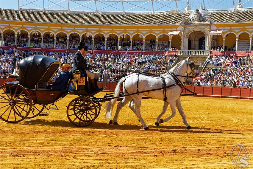 fjmontiel_38_Exhibicion_Enganches_Maestranza_Sevilla_2024_DSC_4946_DxO