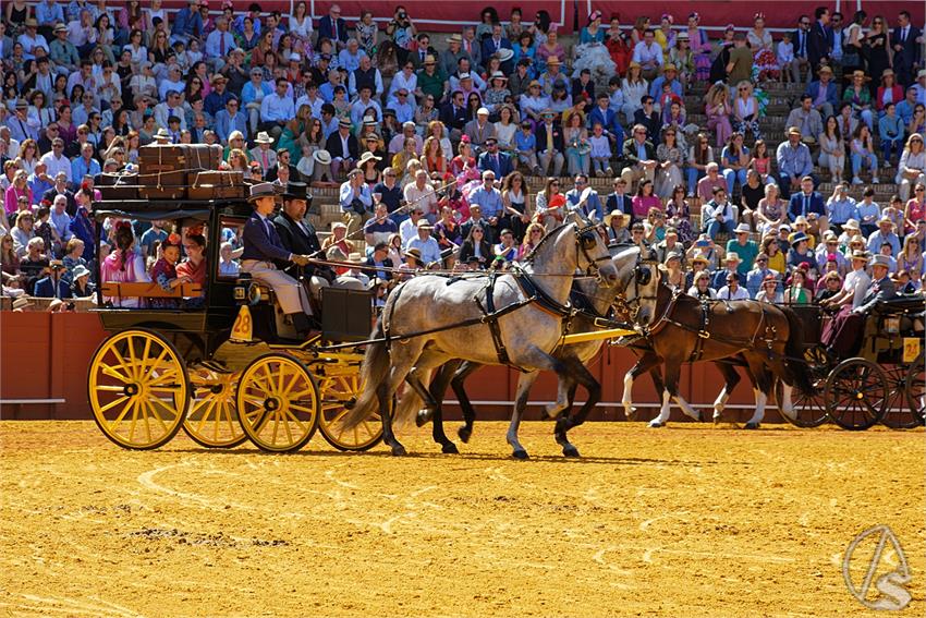 fjmontiel_38_Exhibicion_Enganches_Maestranza_Sevilla_2024_DSC_4947_DxO