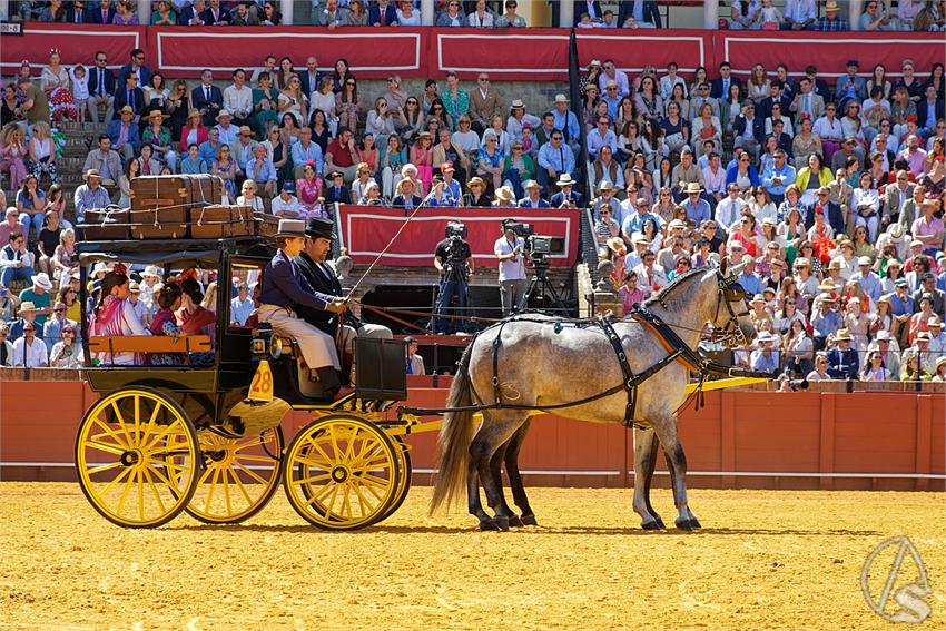 fjmontiel_38_Exhibicion_Enganches_Maestranza_Sevilla_2024_DSC_4948_DxO