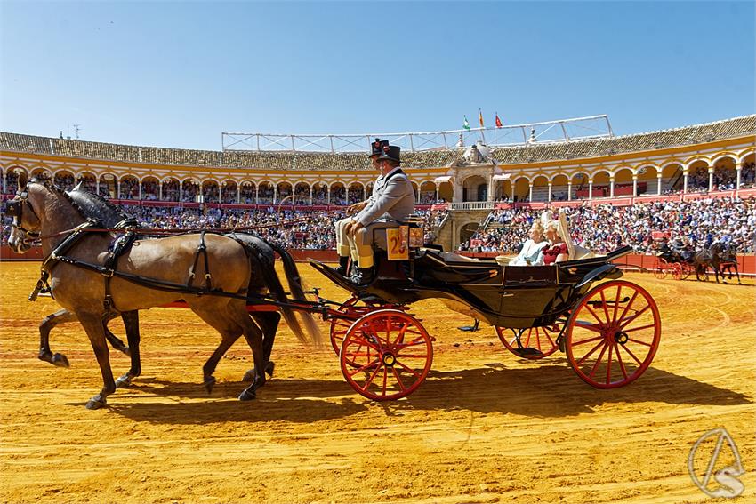 fjmontiel_38_Exhibicion_Enganches_Maestranza_Sevilla_2024_DSC_4949_DxO