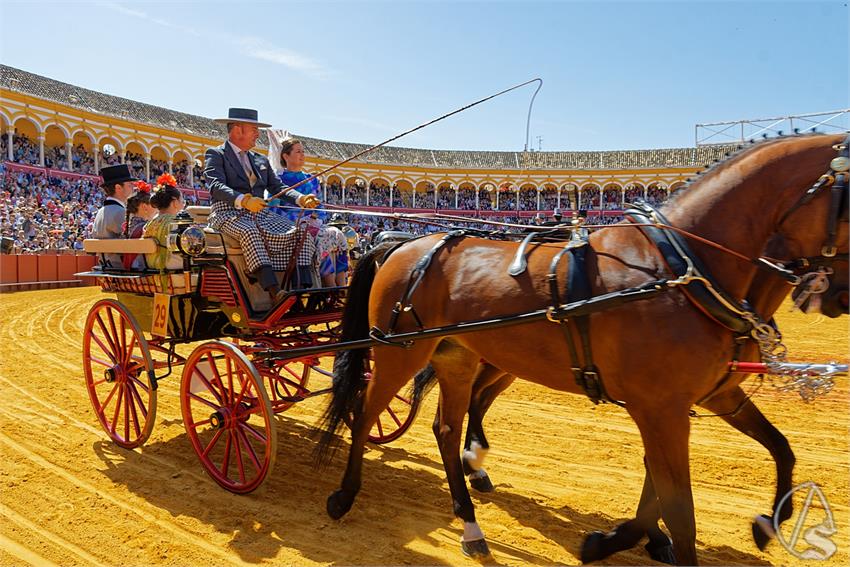 fjmontiel_38_Exhibicion_Enganches_Maestranza_Sevilla_2024_DSC_4950_DxO