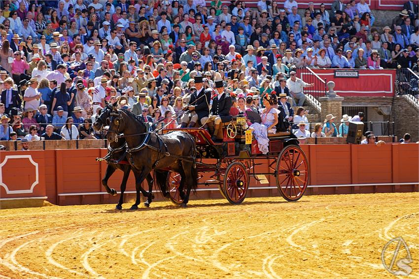 fjmontiel_38_Exhibicion_Enganches_Maestranza_Sevilla_2024_DSC_4957_DxO