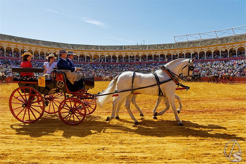 fjmontiel_38_Exhibicion_Enganches_Maestranza_Sevilla_2024_DSC_4960_DxO