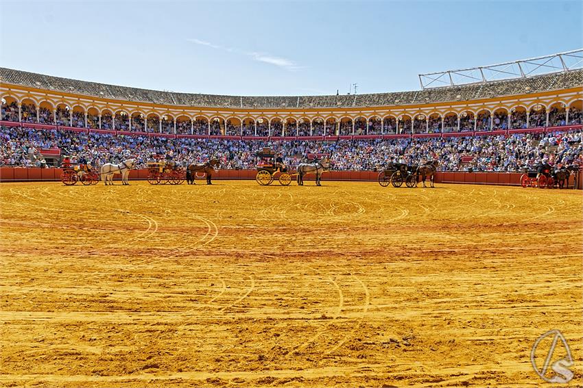 fjmontiel_38_Exhibicion_Enganches_Maestranza_Sevilla_2024_DSC_4969_DxO