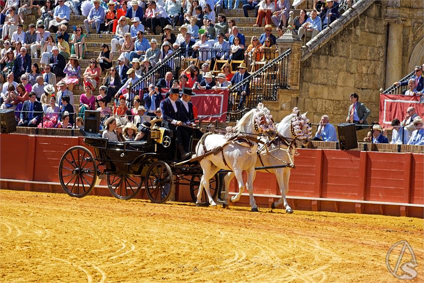 fjmontiel_38_Exhibicion_Enganches_Maestranza_Sevilla_2024_DSC_4970_DxO