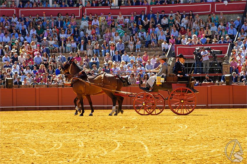 fjmontiel_38_Exhibicion_Enganches_Maestranza_Sevilla_2024_DSC_4971_DxO