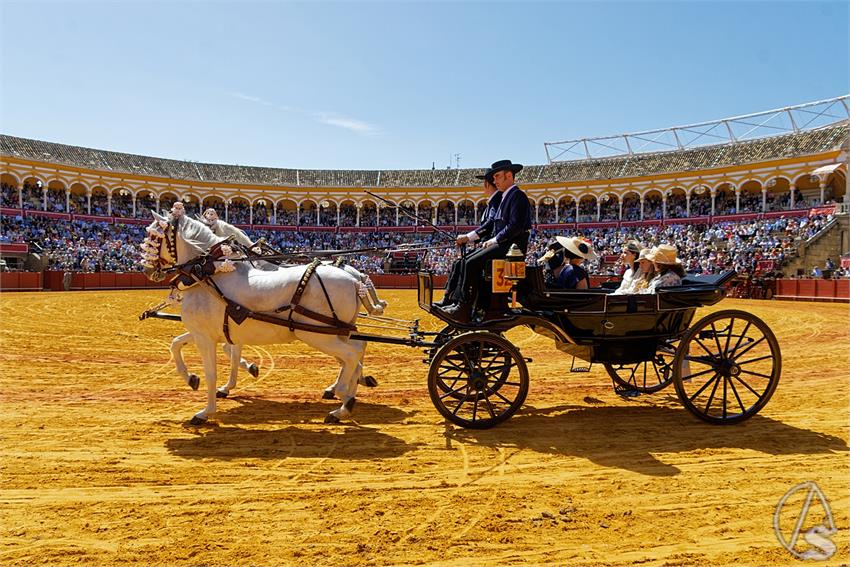 fjmontiel_38_Exhibicion_Enganches_Maestranza_Sevilla_2024_DSC_4973_DxO