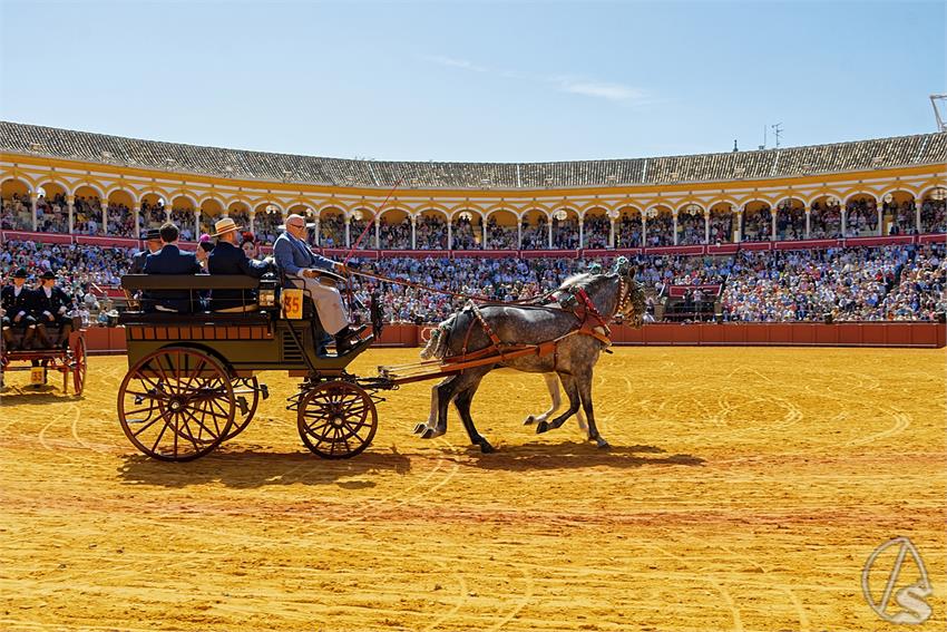 fjmontiel_38_Exhibicion_Enganches_Maestranza_Sevilla_2024_DSC_4978_DxO