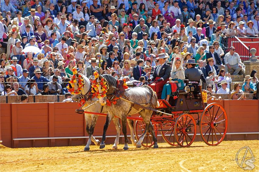 fjmontiel_38_Exhibicion_Enganches_Maestranza_Sevilla_2024_DSC_4980_DxO