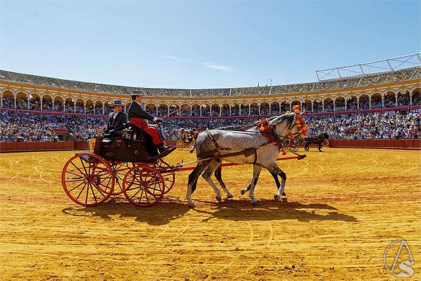 fjmontiel_38_Exhibicion_Enganches_Maestranza_Sevilla_2024_DSC_4982_DxO