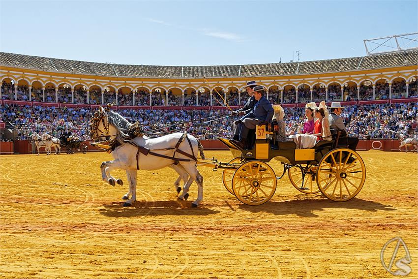 fjmontiel_38_Exhibicion_Enganches_Maestranza_Sevilla_2024_DSC_4983_DxO