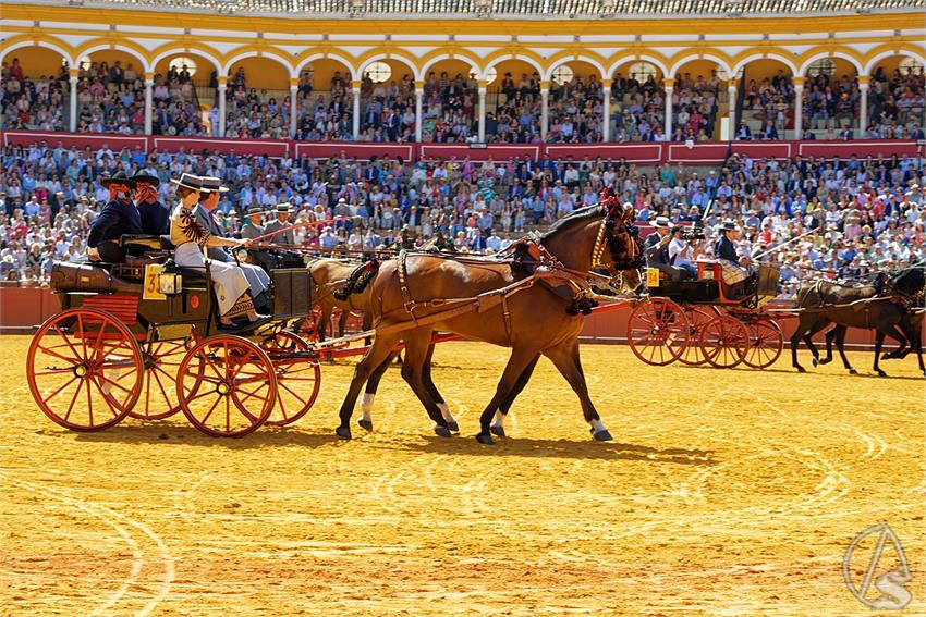 fjmontiel_38_Exhibicion_Enganches_Maestranza_Sevilla_2024_DSC_4984_DxO