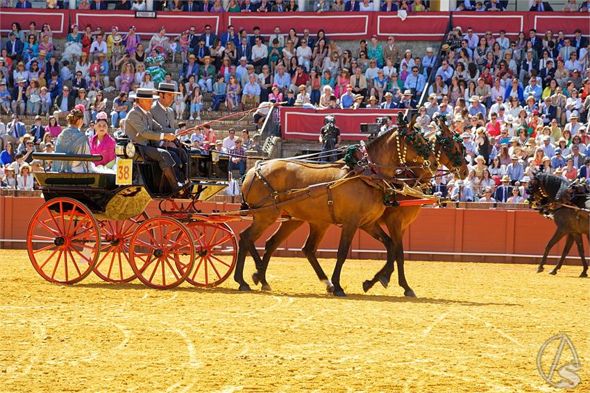 fjmontiel_38_Exhibicion_Enganches_Maestranza_Sevilla_2024_DSC_4985_DxO