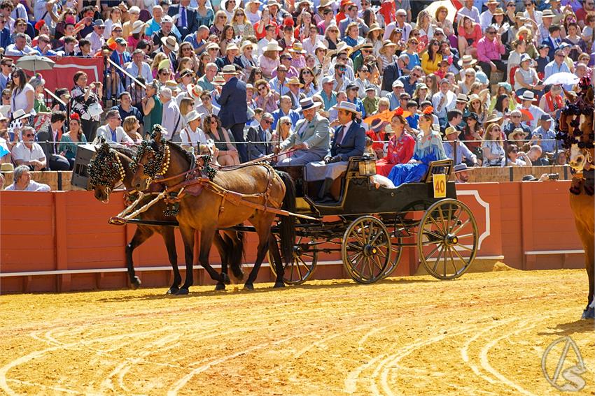 fjmontiel_38_Exhibicion_Enganches_Maestranza_Sevilla_2024_DSC_4986_DxO