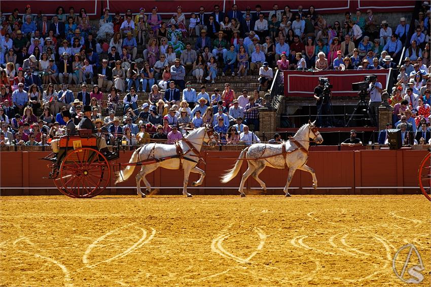 fjmontiel_38_Exhibicion_Enganches_Maestranza_Sevilla_2024_DSC_5002_DxO