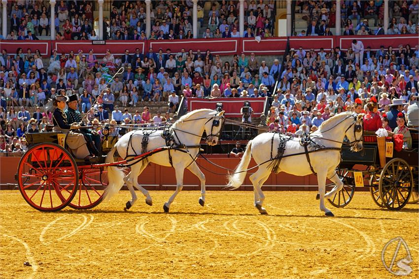 fjmontiel_38_Exhibicion_Enganches_Maestranza_Sevilla_2024_DSC_5004_DxO