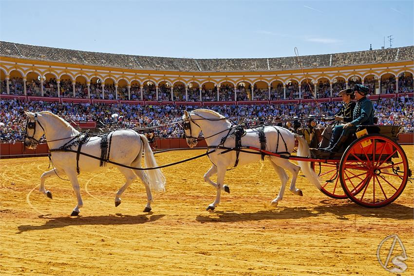 fjmontiel_38_Exhibicion_Enganches_Maestranza_Sevilla_2024_DSC_5005_DxO