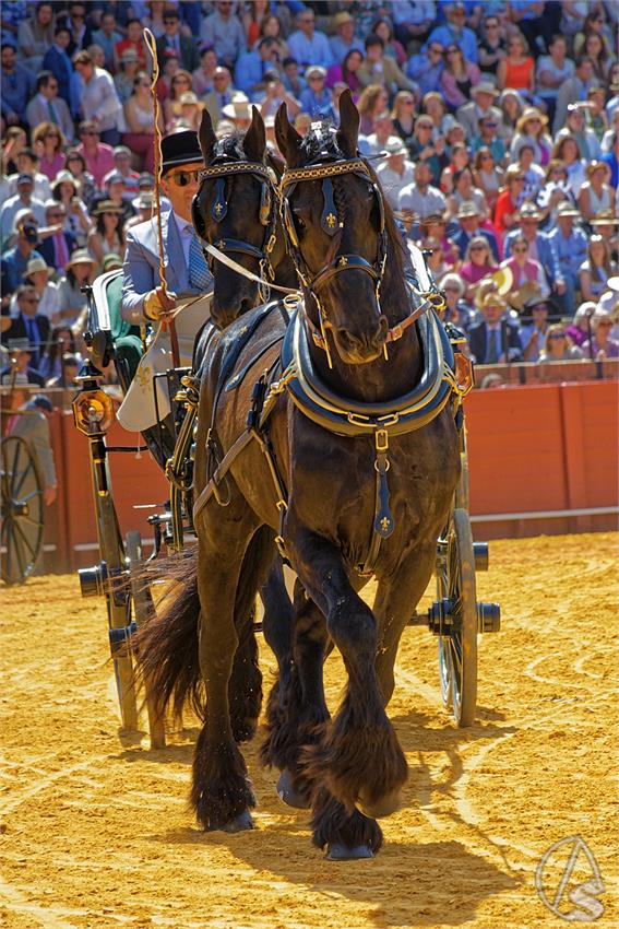 fjmontiel_38_Exhibicion_Enganches_Maestranza_Sevilla_2024_DSC_5008_DxO