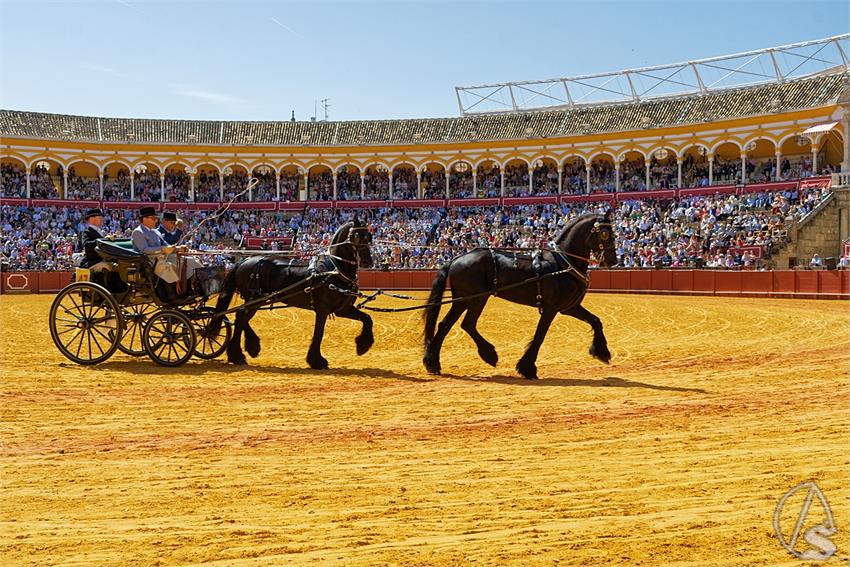 fjmontiel_38_Exhibicion_Enganches_Maestranza_Sevilla_2024_DSC_5009_DxO