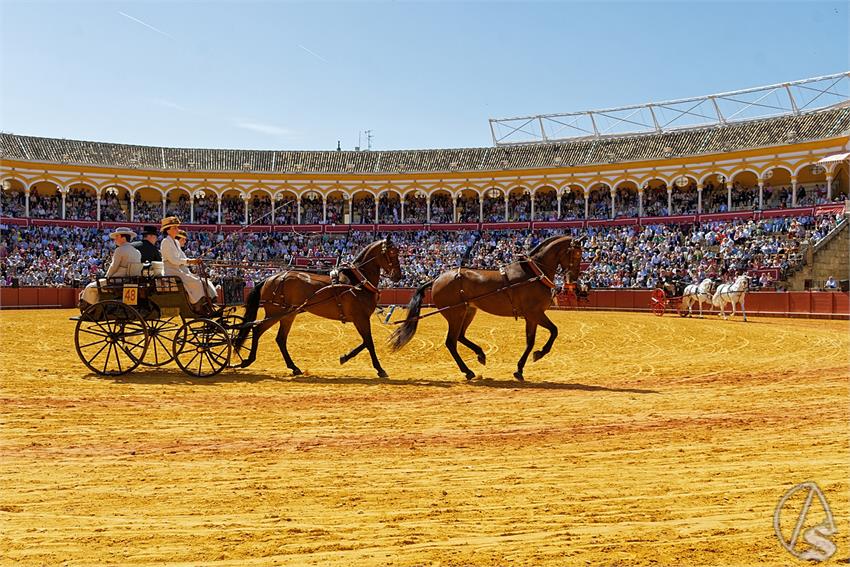 fjmontiel_38_Exhibicion_Enganches_Maestranza_Sevilla_2024_DSC_5010_DxO