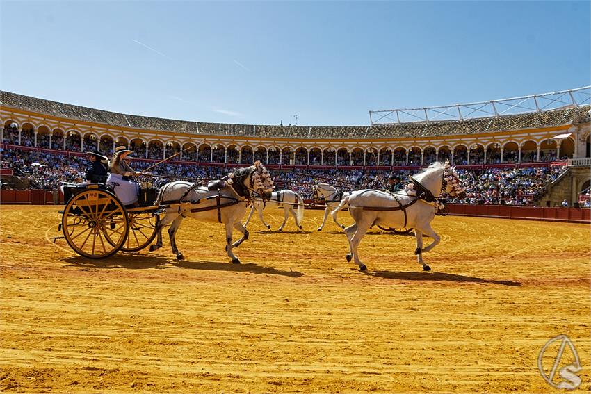 fjmontiel_38_Exhibicion_Enganches_Maestranza_Sevilla_2024_DSC_5011_DxO