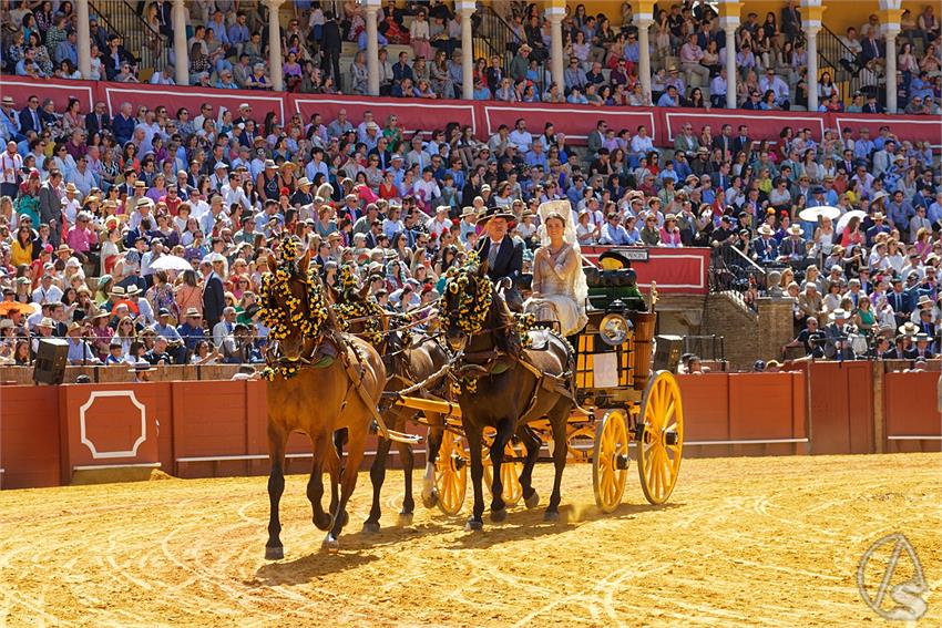 fjmontiel_38_Exhibicion_Enganches_Maestranza_Sevilla_2024_DSC_5012_DxO