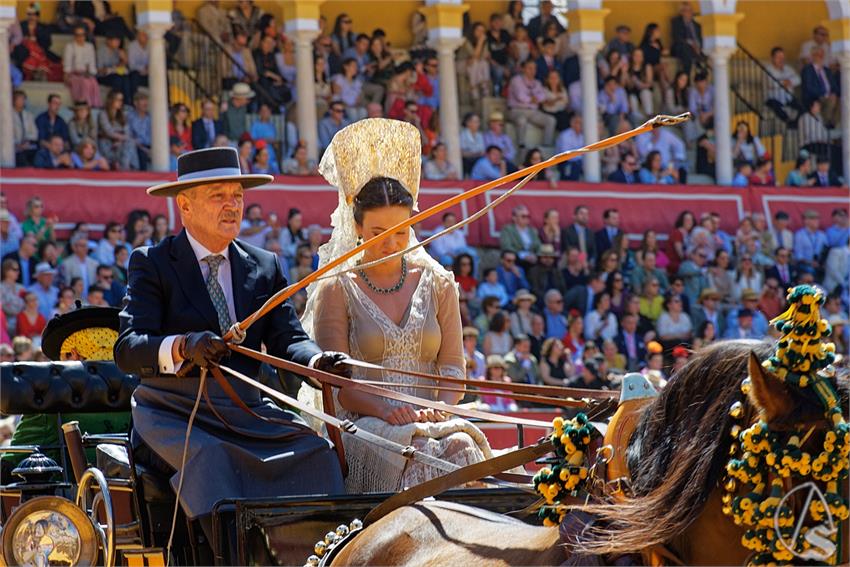 fjmontiel_38_Exhibicion_Enganches_Maestranza_Sevilla_2024_DSC_5013_DxO