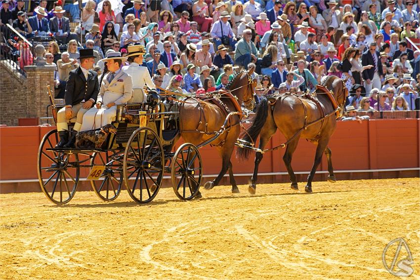 fjmontiel_38_Exhibicion_Enganches_Maestranza_Sevilla_2024_DSC_5031_DxO