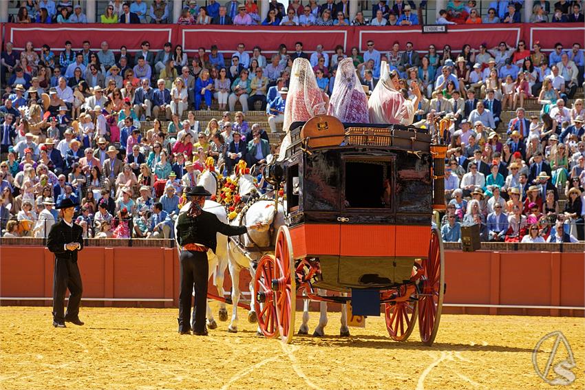 fjmontiel_38_Exhibicion_Enganches_Maestranza_Sevilla_2024_DSC_5033_DxO