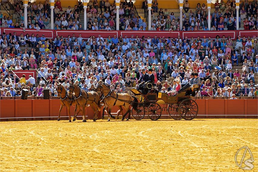 fjmontiel_38_Exhibicion_Enganches_Maestranza_Sevilla_2024_DSC_5035_DxO