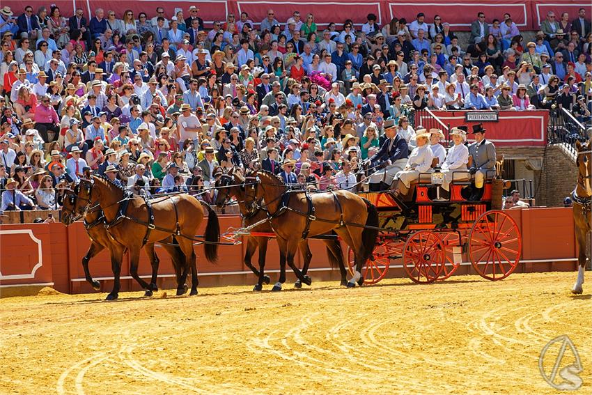 fjmontiel_38_Exhibicion_Enganches_Maestranza_Sevilla_2024_DSC_5044_DxO